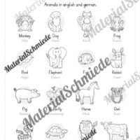 Thema Tiere / Animals im Englischunterricht (Vorschau 02)