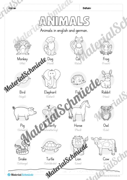 Thema Tiere / Animals im Englischunterricht (Vorschau 02)