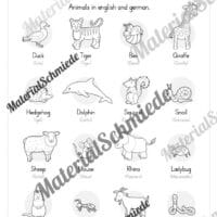Thema Tiere / Animals im Englischunterricht (Vorschau 03)