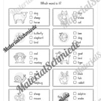 Thema Tiere / Animals im Englischunterricht (Vorschau 05)