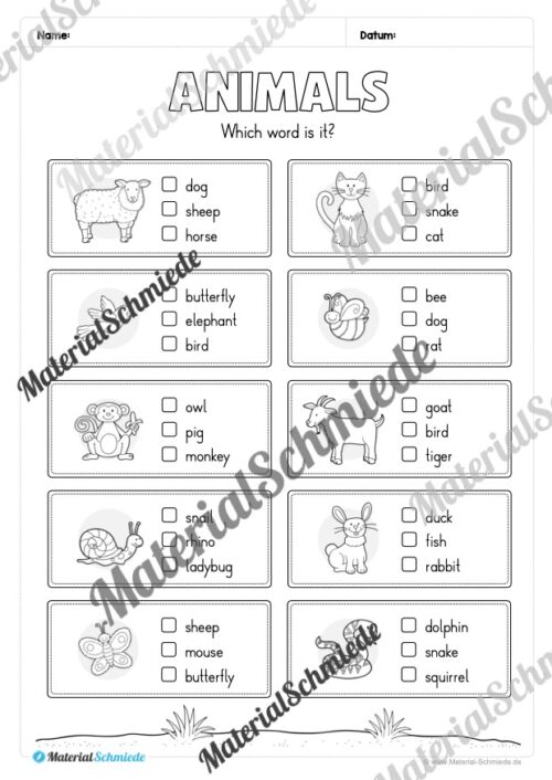 Thema Tiere / Animals im Englischunterricht (Vorschau 05)
