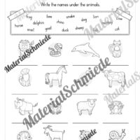 Thema Tiere / Animals im Englischunterricht (Vorschau 09)