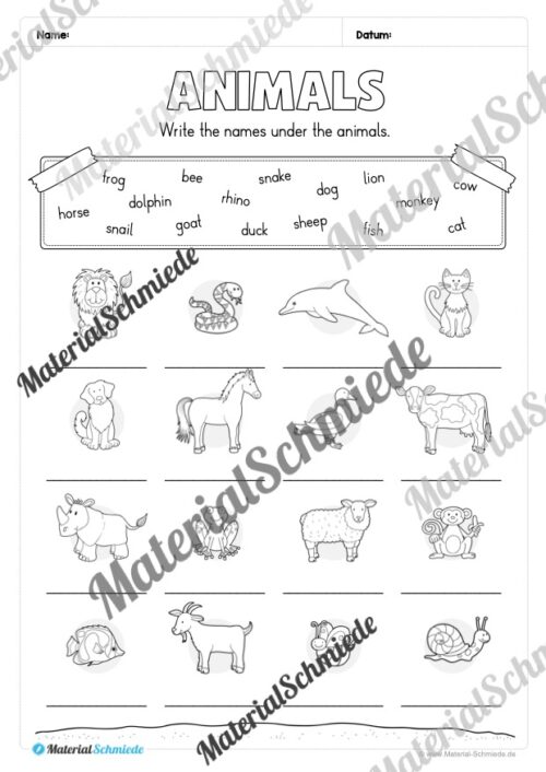 Thema Tiere / Animals im Englischunterricht (Vorschau 09)