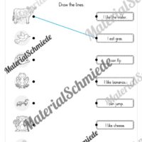 Thema Tiere / Animals im Englischunterricht (Vorschau 12)
