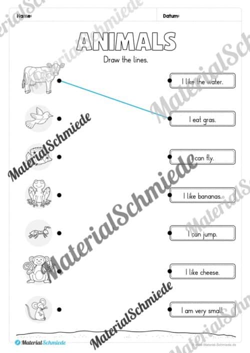 Thema Tiere / Animals im Englischunterricht (Vorschau 12)