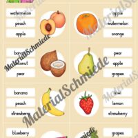 Obst / Fruits: Klammerkarten auf Englisch (Arbeitsblatt 03)