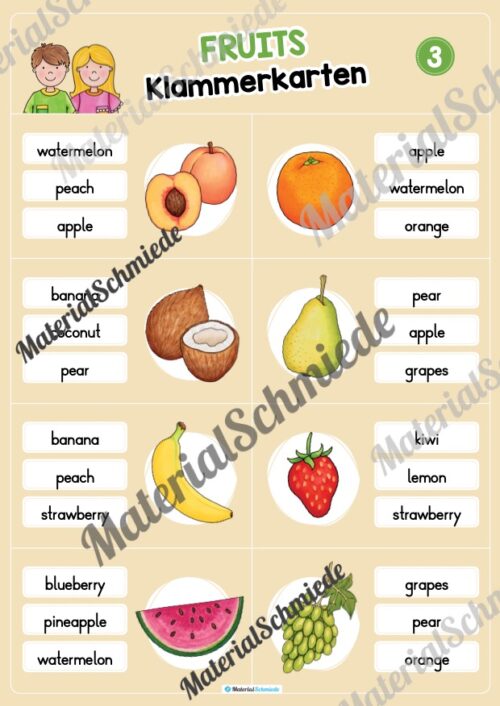 Obst / Fruits: Klammerkarten auf Englisch (Arbeitsblatt 03)