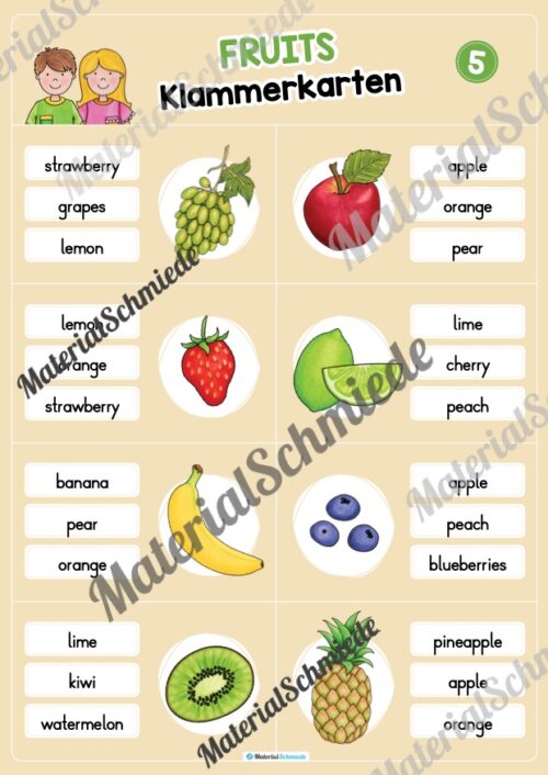 Obst / Fruits: Klammerkarten auf Englisch (Arbeitsblatt 05)
