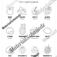 Materialpaket Obst / Fruits (Arbeitsblatt 02)