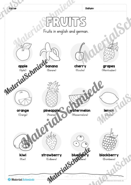 Materialpaket Obst / Fruits (Arbeitsblatt 02)