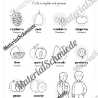 Materialpaket Obst / Fruits (Arbeitsblatt 03)