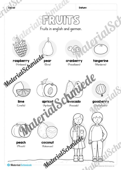 Materialpaket Obst / Fruits (Arbeitsblatt 03)