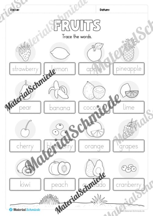 Materialpaket Obst / Fruits (Arbeitsblatt 04)