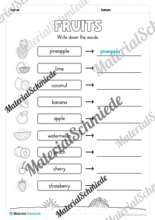 Materialpaket Obst / Fruits (Arbeitsblatt 05)