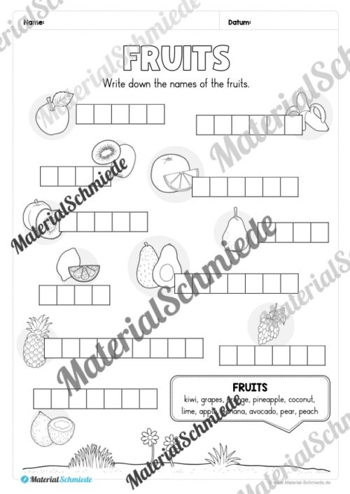 Materialpaket Obst / Fruits (Arbeitsblatt 07)