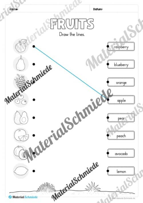 Materialpaket Obst / Fruits (Arbeitsblatt 08)