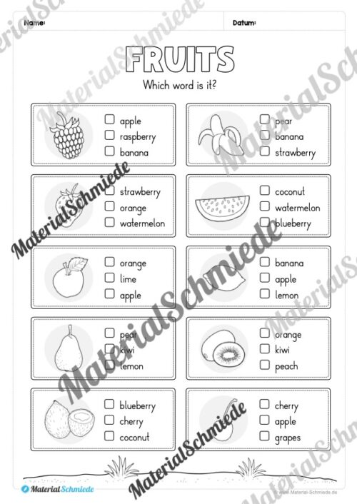 Materialpaket Obst / Fruits (Arbeitsblatt 09)