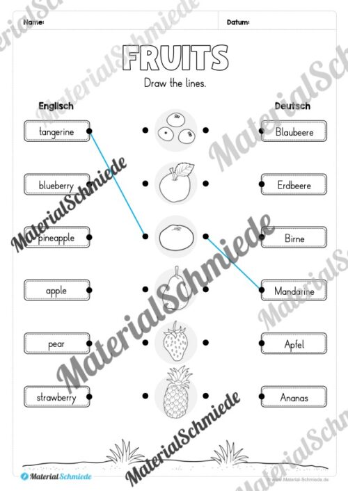 Materialpaket Obst / Fruits (Arbeitsblatt 12)