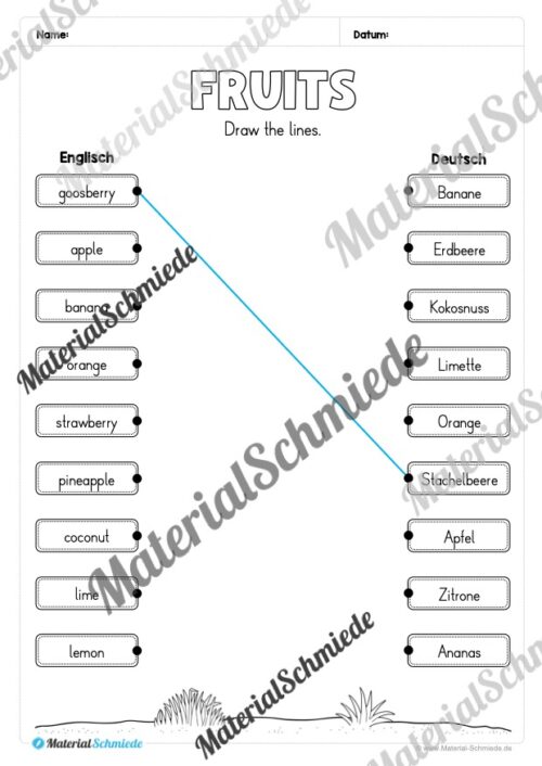 Materialpaket Obst / Fruits (Arbeitsblatt 13)