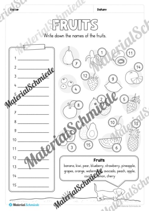 Materialpaket Obst / Fruits (Arbeitsblatt 14)