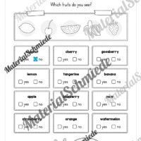 Materialpaket Obst / Fruits (Arbeitsblatt 16)