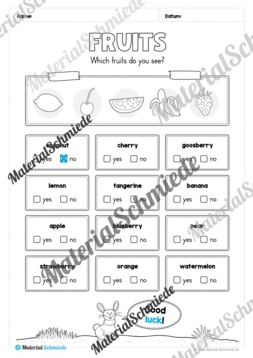 Materialpaket Obst / Fruits (Arbeitsblatt 16)