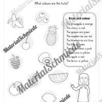 Materialpaket Obst / Fruits (Arbeitsblatt 18)