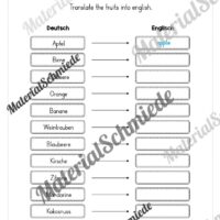 Materialpaket Obst / Fruits (Arbeitsblatt 19)