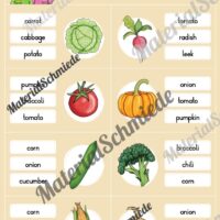 Gemüse / Vegetables: Klammerkarten auf Englisch (Arbeitsblatt 04)