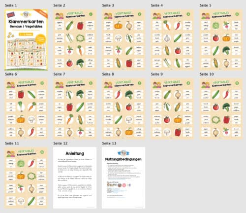 Gemüse / Vegetables: Klammerkarten auf Englisch (Überblick)
