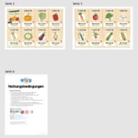 Gemüse / Vegetables: Lesespiel auf Englisch (Überblick)