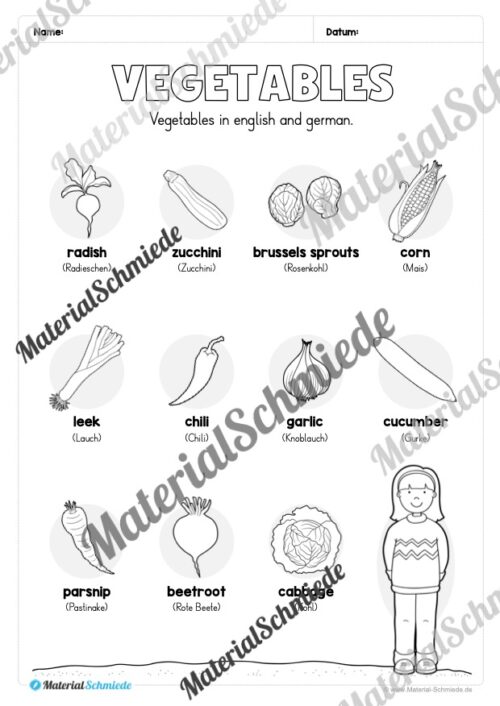 Gemüse (Vegetables) im Englischunterricht (Arbeitsblatt 03)