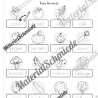 Gemüse (Vegetables) im Englischunterricht (Arbeitsblatt 04)