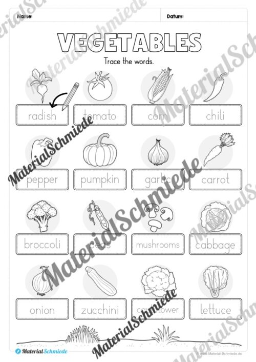 Gemüse (Vegetables) im Englischunterricht (Arbeitsblatt 04)