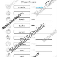 Gemüse (Vegetables) im Englischunterricht (Arbeitsblatt 05)