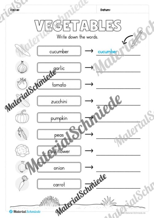 Gemüse (Vegetables) im Englischunterricht (Arbeitsblatt 05)