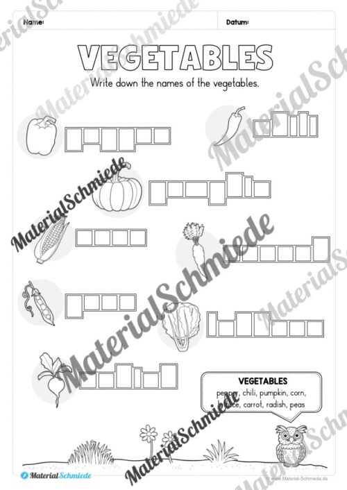 Gemüse (Vegetables) im Englischunterricht (Arbeitsblatt 06)