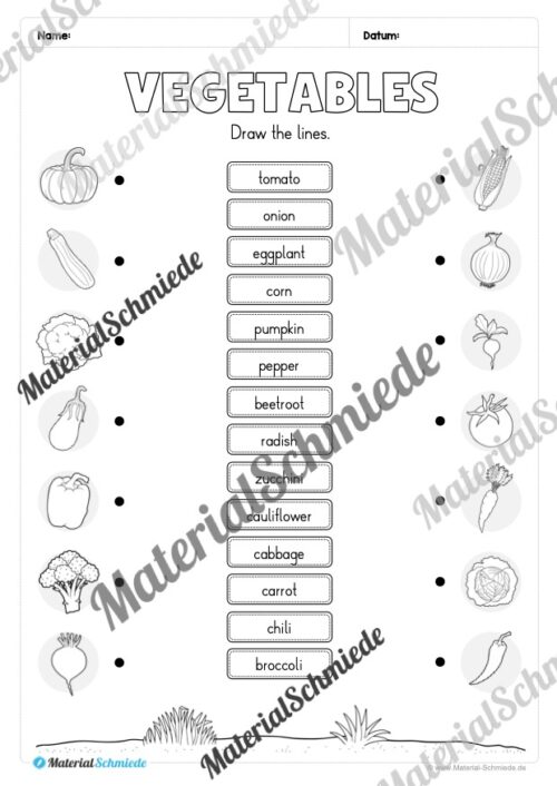 Gemüse (Vegetables) im Englischunterricht (Arbeitsblatt 07)