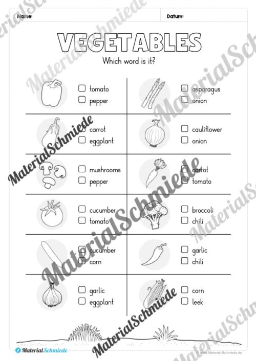 Gemüse (Vegetables) im Englischunterricht (Arbeitsblatt 08)