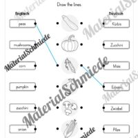 Gemüse (Vegetables) im Englischunterricht (Arbeitsblatt 11)