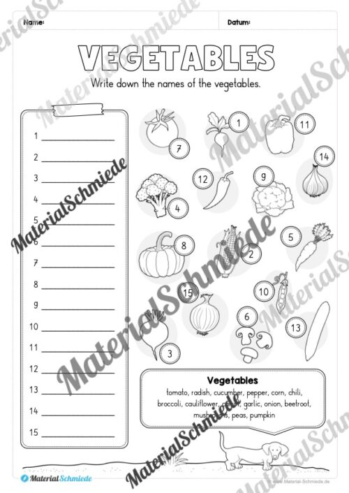 Gemüse (Vegetables) im Englischunterricht (Arbeitsblatt 12)