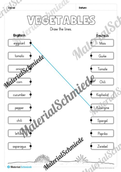 Gemüse (Vegetables) im Englischunterricht (Arbeitsblatt 13)