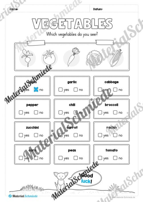Gemüse (Vegetables) im Englischunterricht (Arbeitsblatt 15)