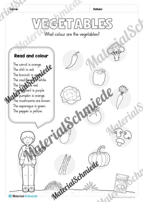 Gemüse (Vegetables) im Englischunterricht (Arbeitsblatt 17)