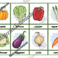 Gemüse / Vegetables: Bildkarten auf Englisch (Arbeitsblatt 01)