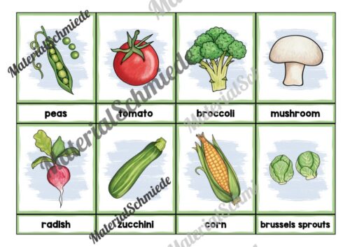 Gemüse / Vegetables: Bildkarten auf Englisch (Arbeitsblatt 02)