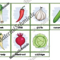 Gemüse / Vegetables: Bildkarten auf Englisch (Arbeitsblatt 03)