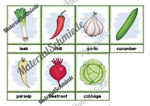 Gemüse / Vegetables: Bildkarten auf Englisch (Arbeitsblatt 03)