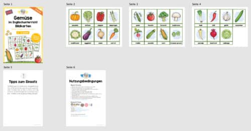 Gemüse / Vegetables: Bildkarten auf Englisch (Überblick)