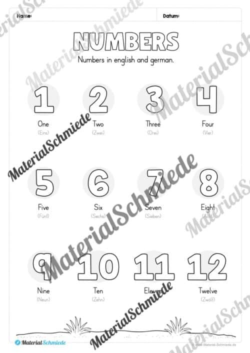 Thema Zahlen / Numbers im Englischunterricht (Vorschau 02)